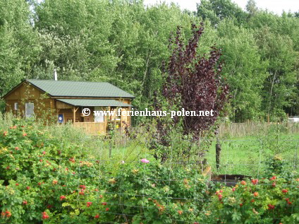 Ferienhaus Polen - Ferienhaus Amber in Blotno nahe Golczewo / See 