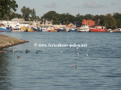 Ferienhaus Polen - Ferienhuser im Seebad Dziwnowek und Dziwnow an der  Ostsee / Polen