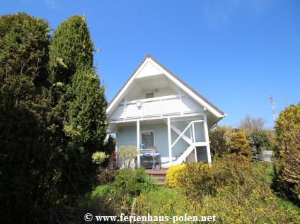 Polnische Ostsee Ferienhaus Hund (2)