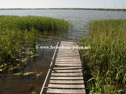 Ferienhaus Polen - Ferienhaus Viola in Dziwnowek an der Ostsee / Polen