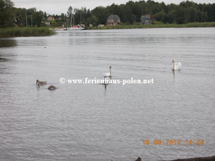 Ferienhaus Polen - Ferienhaus Magda in Masuren (Mazury)/Polen