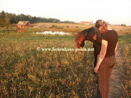 Ferienhaus Vena in Masuren (Mazury) / Polen