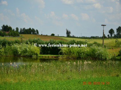 Ferienhaus Polen - Ferienhaus Vena in Masuren (Mazury) / Polen