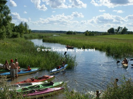 Ferienhaus Polen - Ferienhaus Bami/ Masuren (Mazury) Polen