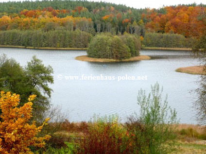 Ferienhaus Polen - Ferienh�user Zacisze am See / Masuren (Mazury) Polen