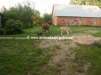� www.ferienhaus-polen.net