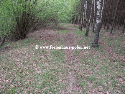 Ferienhaus Polen-Ferienhaus Ostoja in Kaschubei / Polen