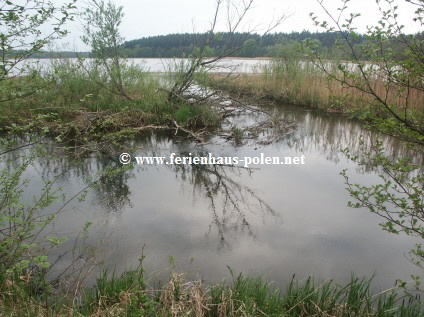 Ferienhaus Polen-Ferienhaus Ostoja in Kaschubei / Polen