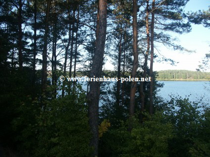 Ferienhaus Polen-Ferienhaus Verte in Kaschubei / Polen