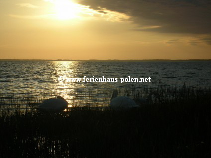 Ferienhaus Polen - Ferienhuser in Gardna Wielka nhe Leba an der Ostsee/Polen