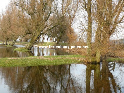 Ferienhaus Polen - Ferienhuser in Gardna Wielka nhe Leba an der Ostsee/Polen