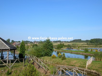 Ferienhaus Polen - Ferienhuser in Gardna Wielka nhe Leba an der Ostsee/Polen