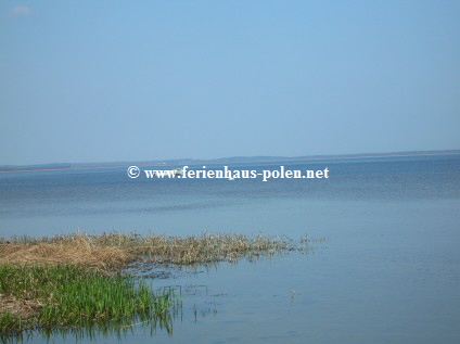 Ferienhaus Polen - Ferienhaus Olina in Gardna Wielka bei Leba an der Ostsee / Polen