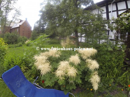 Ferienhaus Polen - Ferienhaus Olina in Gardna Wielka bei Leba an der Ostsee / Polen