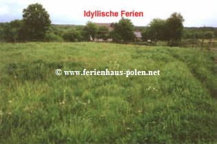  www.ferienhaus-polen.net