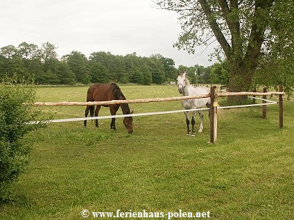 Ferienhaus Polen-Ferienhaus Gusthof Jagienki nhe Miedzyzdroje (Misdroy) an der Ostsee/Pole