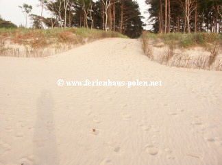 � www.ferienhaus-polen.net