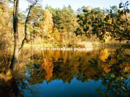 Ferienhaus Polen-Ferienhaus Mertum in Kopalino an der Ostsee nhe Danzig (Gdansk) an der Ostsee/Polen