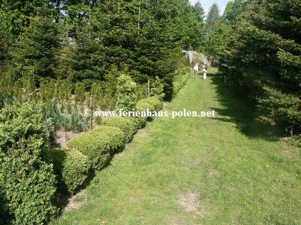 Ferienhaus Polen - Ferienhaus Sikorski in Zukowo nahe Slawno/ Polen