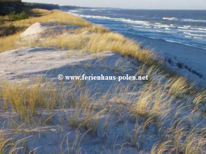 Ferienhaus Polen - Ferienhaus Sherlon in Lubiatowo nahe Gdansk/Danzig an der ostsee / Polen