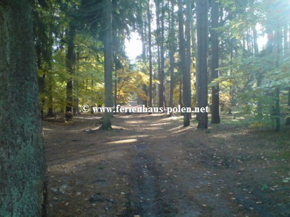 Ferienhaus Polen - Ferienhaus Adelajda in Lukecin an der Ostsee / Polen