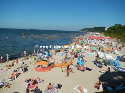 Ferienhaus Polen - Ferienhäuser und Ferienwohnungen in Miedzyzdroje (MIsdroy) an der Ostsee / Polen