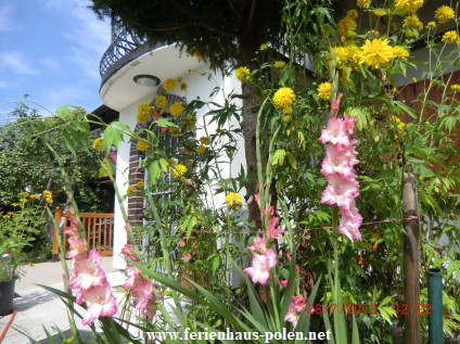 Ferienhaus Polen-Ferienhaus silee in Miedzyzdroje (Misdroy) an der Ostsee/Polen