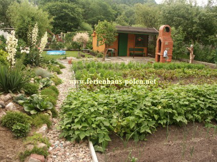 Ferienhaus Polen - Ferienhaus Tertea II in Miedzyzdroje (Misdroy) an der Ostsee/Polen