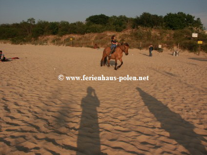 Ferienwohnung Polen - Ferienwohnung Horizont im Ostseebad Miedzyzdroje /Polen an der Ostsee