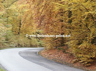  www.ferienhaus-polen.net