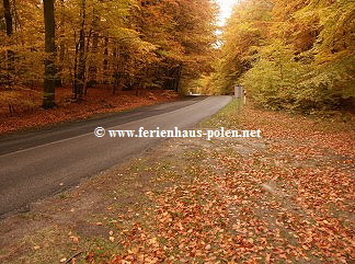  www.ferienhaus-polen.net