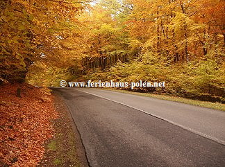  www.ferienhaus-polen.net