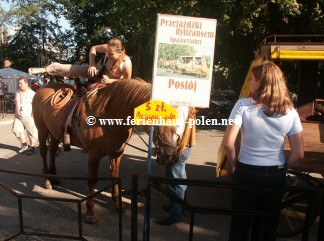  www.ferienhaus-polen.net