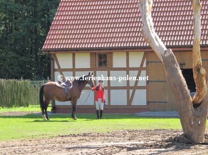 Ferienhaus Polen-Ferienhaus Chic in Nowe Warpno (Neuwarp) am stettiner Haff nahe Szczecin /Stettin)/Polen