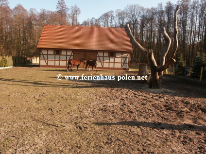 Ferienhaus Polen-Ferienhaus Chic in Nowe Warpno (Neuwarp) am stettiner Haff nahe Szczecin /Stettin)/Polen