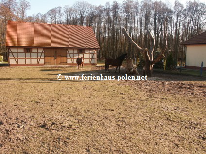 Ferienhaus Polen-Ferienhaus Posh in Nowe Warpno (Neuwarp) am stettiner Haff nahe Szczecin /Stettin)/Polen