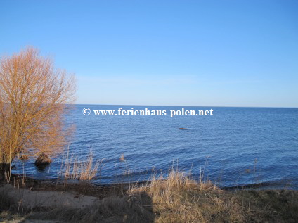 Ferienhaus Polen-Ferienhuser Posh & Chic in Nowe Warpno (Neuwarp) am stettiner Haff nahe Szczecin /Stettin)/Polen