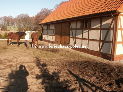 Ferienhaus Polen-Ferienhuser Posh & Chic in Nowe Warpno (Neuwarp) am stettiner Haff nahe Szczecin /Stettin)/Polen