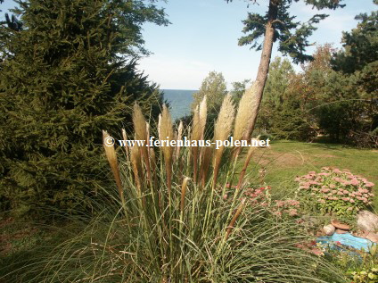Ferienhaus Polen - Ferienhaus Toscana in Pobierowo an der Ostsee / Polen