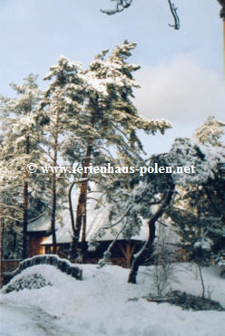 Ferienhaus Polen - Ferienhaus Waldkolonie in Pobierowo an der  Ostsee/Polen