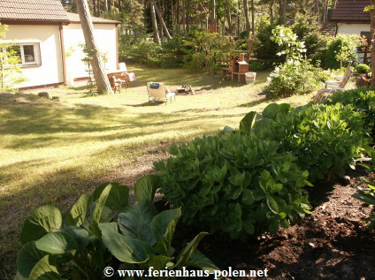 Ferienhaus Polen - Ferienhaus  Greta in Pobierowo an der Ostsee  / Polen