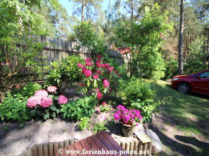 Ferienhaus Polen - Ferienhaus  Greta in Pobierowo an der Ostsee  / Polen