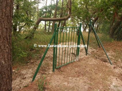 Ferienhaus Polen - Ferienhaus Dorei in Pobierowo an der Ostsee/Polen
