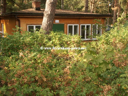 � www.ferienhaus-polen.net