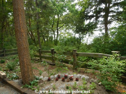 Ferienhaus Polen - Ferienhaus Milo in Pobierowo an der Ostsee/Polen