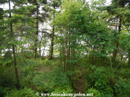 Ferienhaus Polen - Ferienhaus Milo in Pobierowo an der Ostsee/Polen