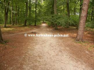 � www.ferienhaus-polen.net