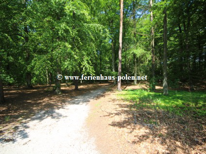 Ferienhaus Polen - Ferienhuser und Ferienwohnungen in Poddabie nhe Ustka an der Ostsee/Polen