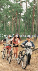  www.ferienhaus-polen.net