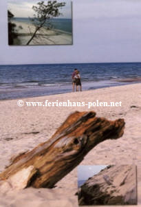  www.ferienhaus-polen.net